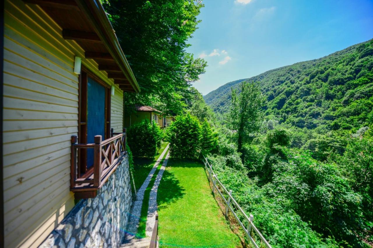 Naturkoy Sapanca Сакарья Экстерьер фото