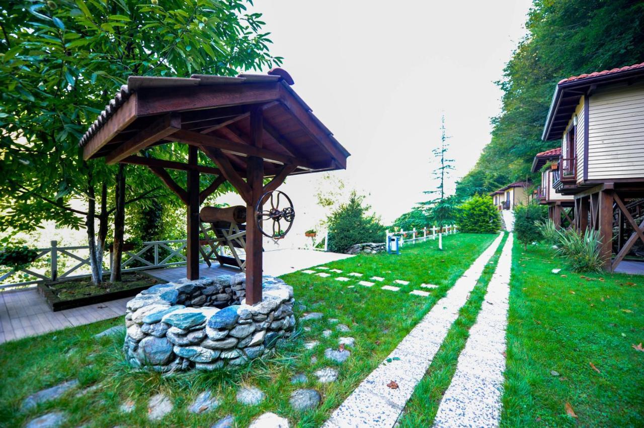 Naturkoy Sapanca Сакарья Экстерьер фото