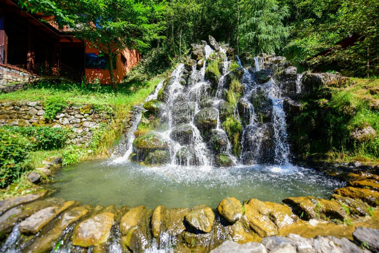 Naturkoy Sapanca Сакарья Экстерьер фото